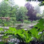 giverny