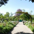 Giverny - Der Garten von Monet 