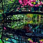 Giverny, die Brücke.         ..120_1225