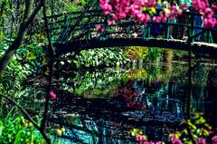 Giverny, die Brücke.         ..120_1225