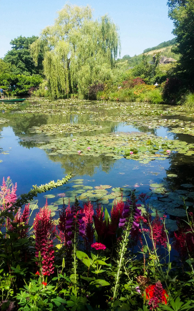 Giverny et ses nénuphars 