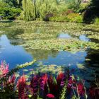 Giverny et ses nénuphars 