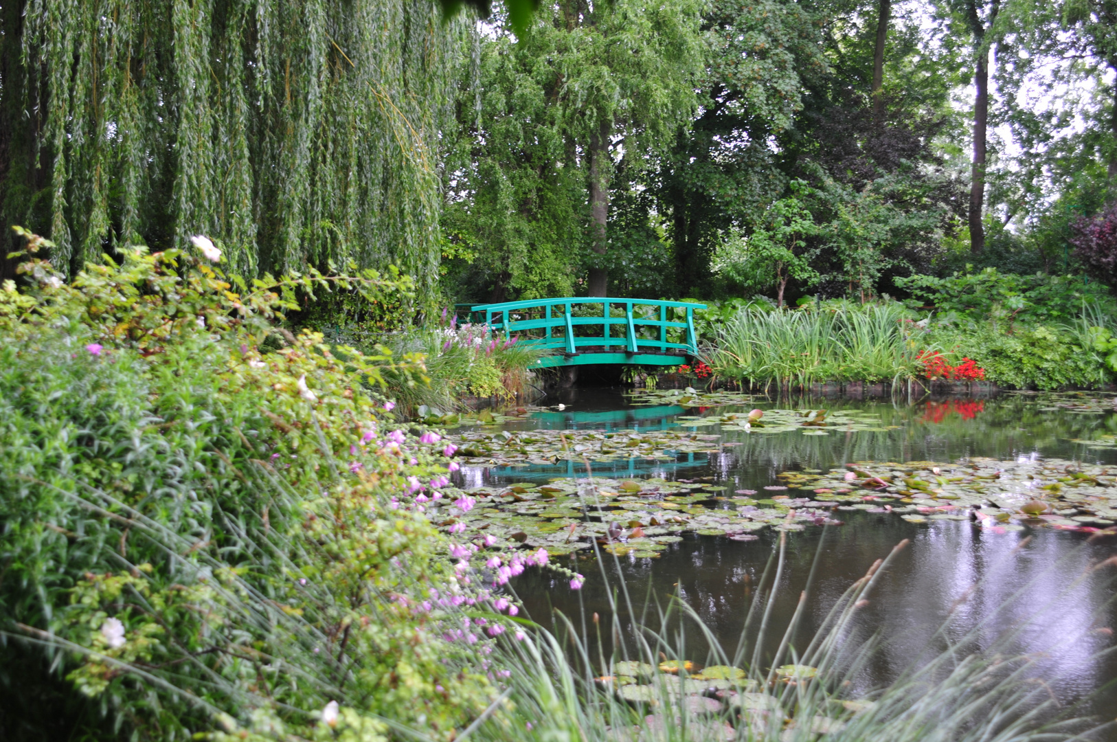 Giverny - im Garten von Claude Monet