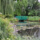 Giverny - im Garten von Claude Monet