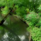 giverny, le jardin de Monet