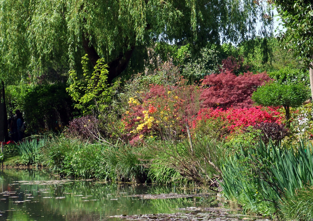 Giverny le jardin d'eau