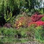 Giverny le jardin d'eau