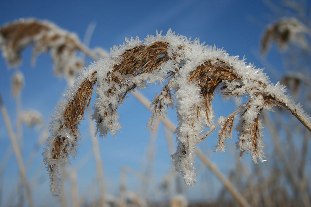 Givre