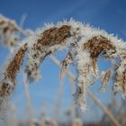 Givre