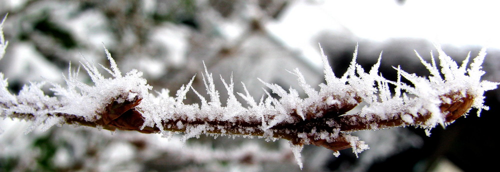 Givre