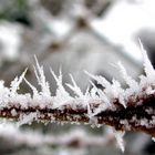 Givre