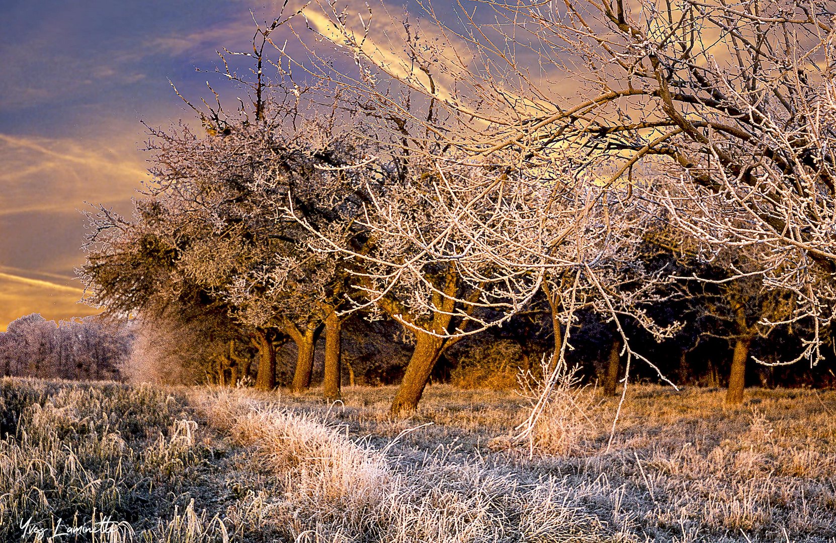 Givre 