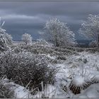 Givre