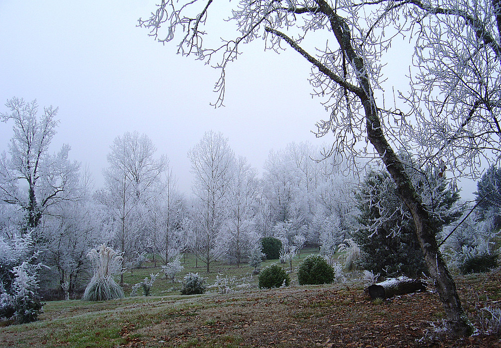 Givre