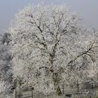 Givre