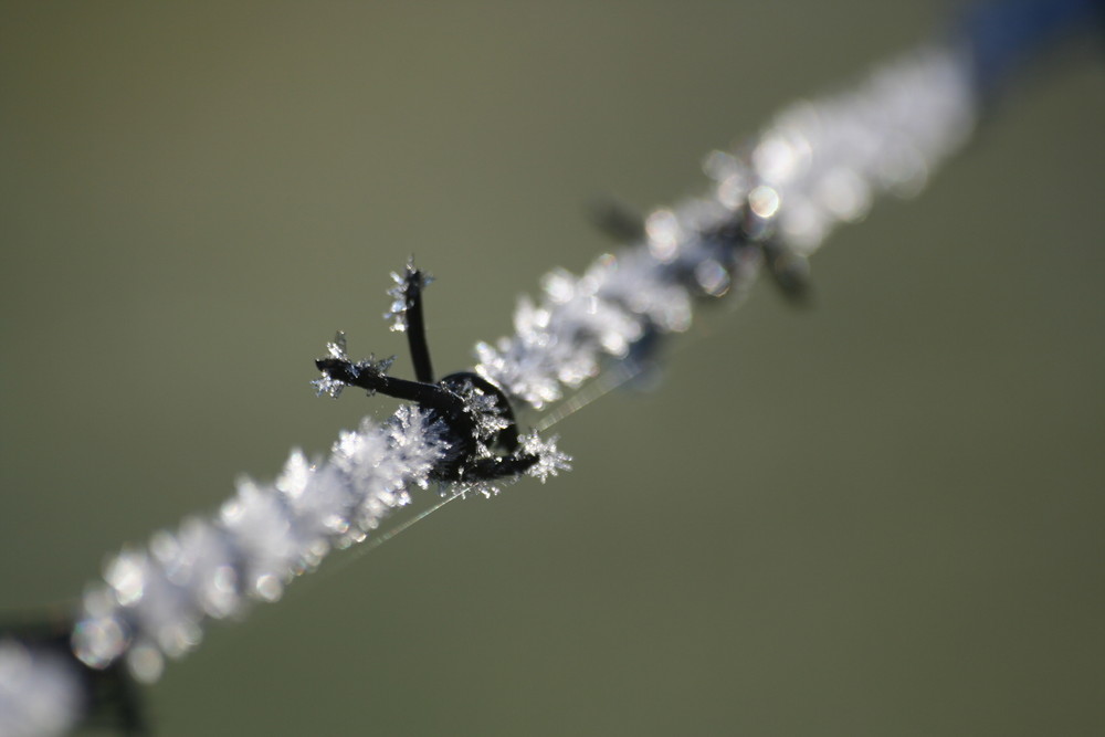 givre