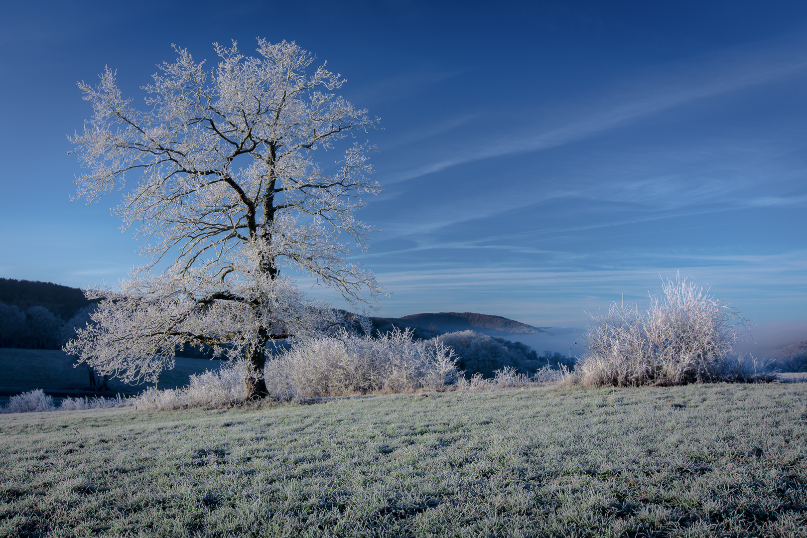 Givre,