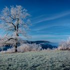 Givre,