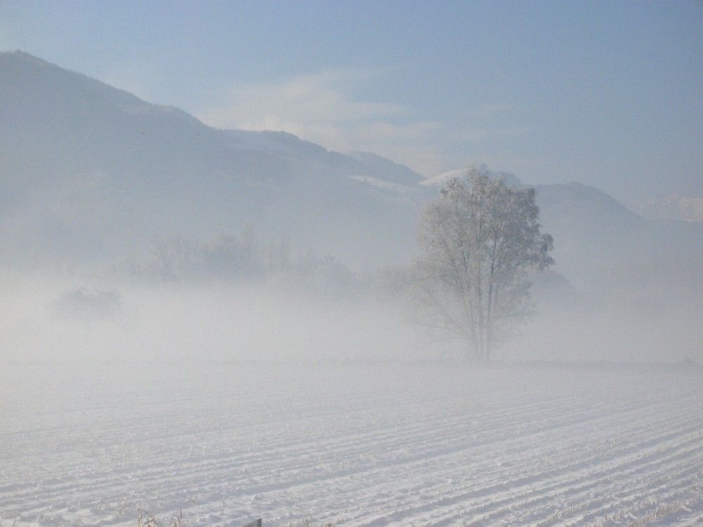 Givre absolu