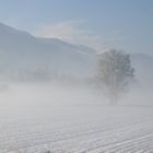 Givre absolu