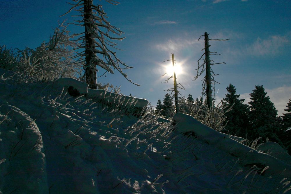 givre au folly