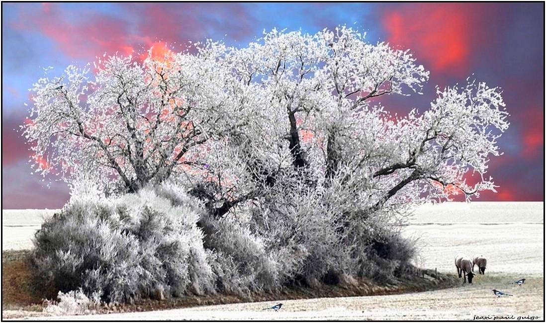 givre