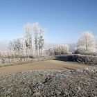 GIVRE DANS LA CAMPAGNE JURASSIENNE