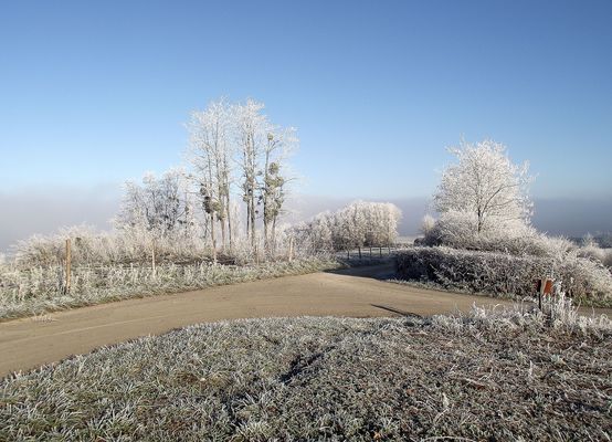 GIVRE DANS LA CAMPAGNE JURASSIENNE
