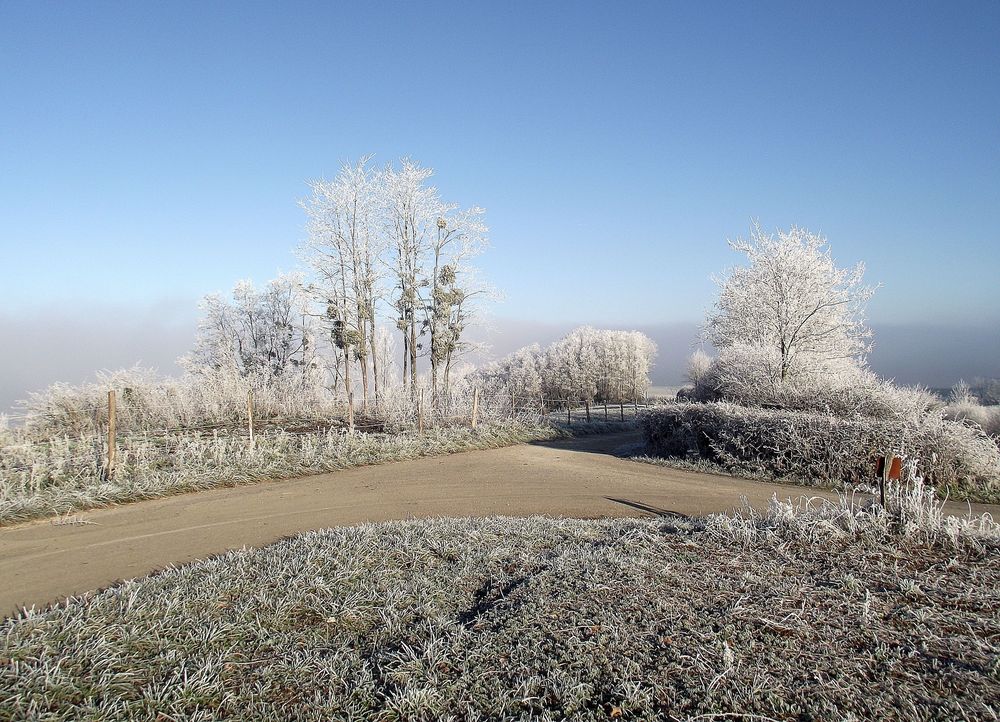 GIVRE DANS LA CAMPAGNE JURASSIENNE