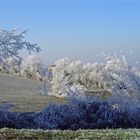 Givre dans le Gers