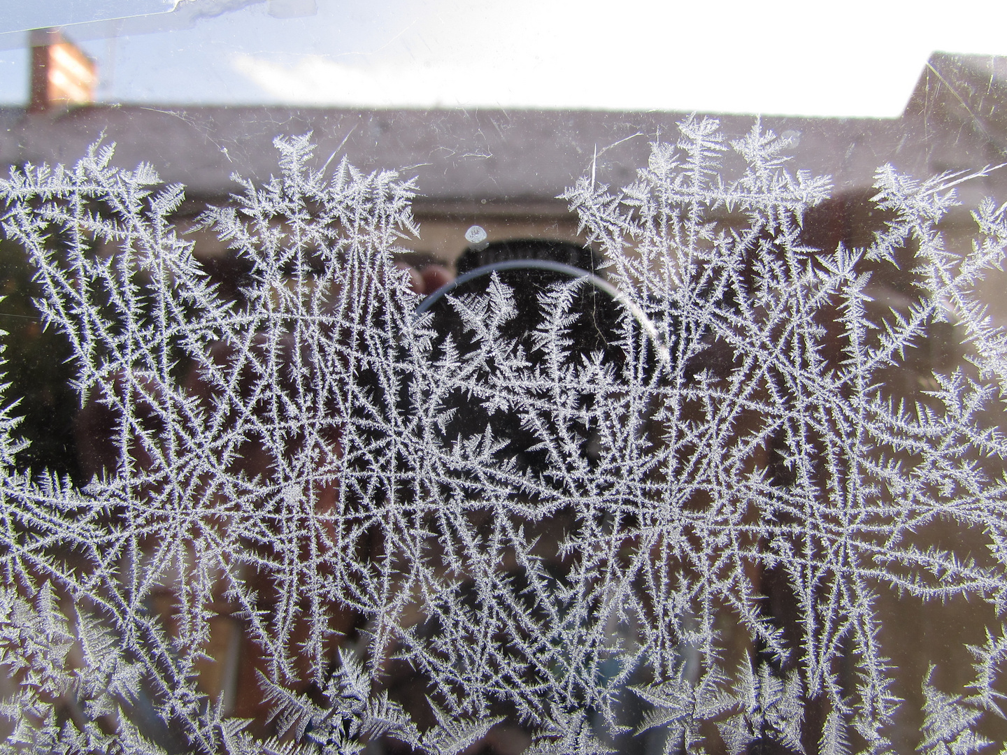 ..Givre de Janvier (1)..