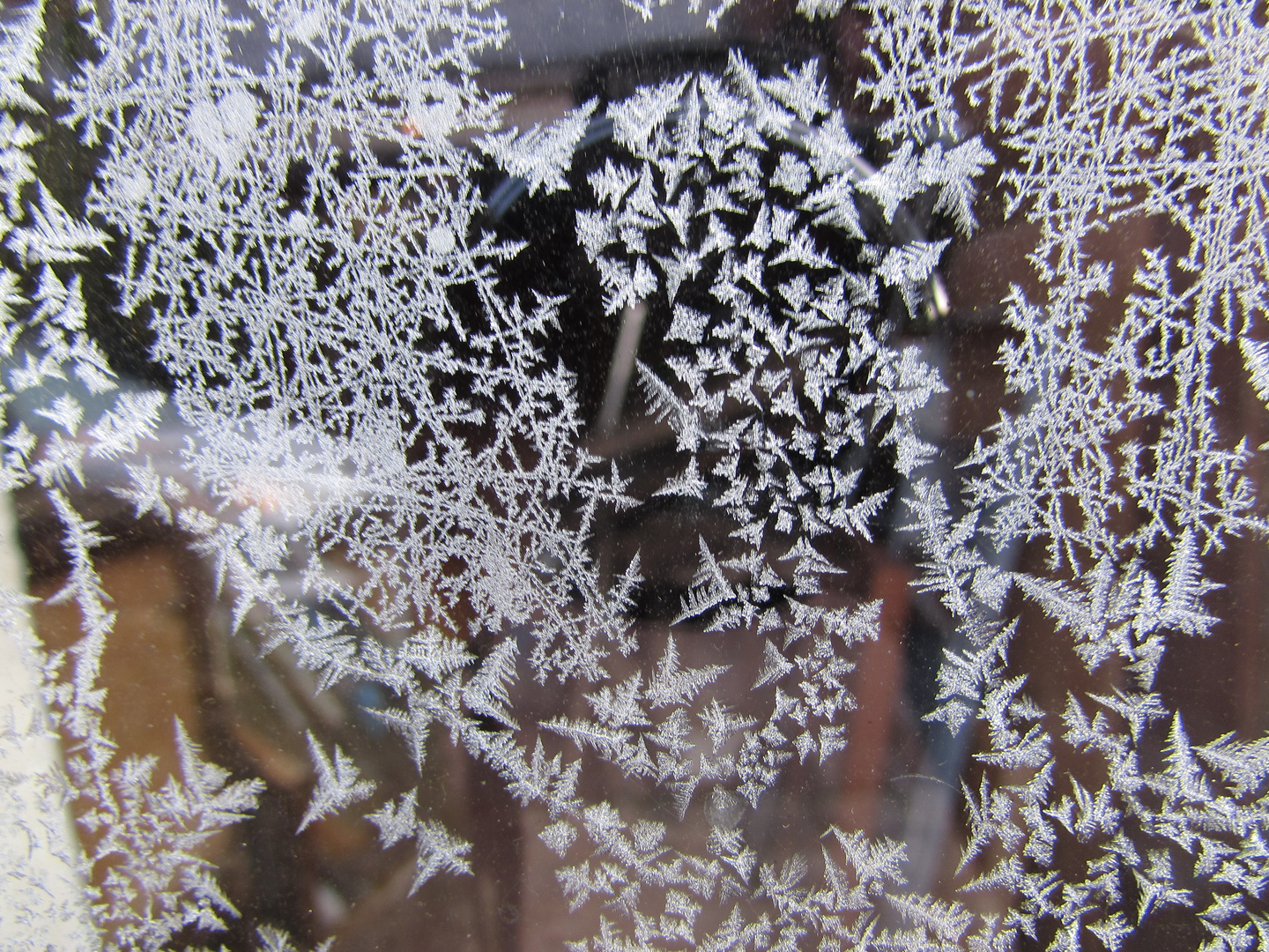 ..Givre de Janvier (2)