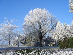 Givre devant chez moi 