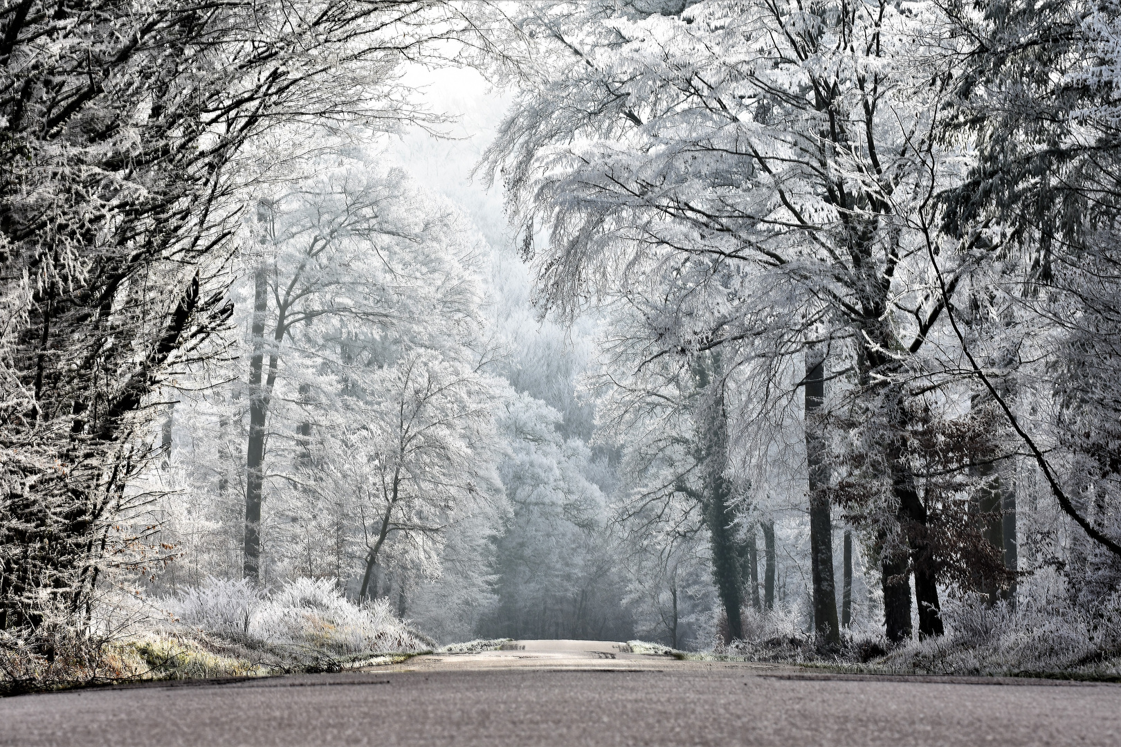 Givre du 27 décembre 2018