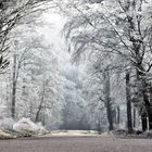 Givre du 27 décembre 2018