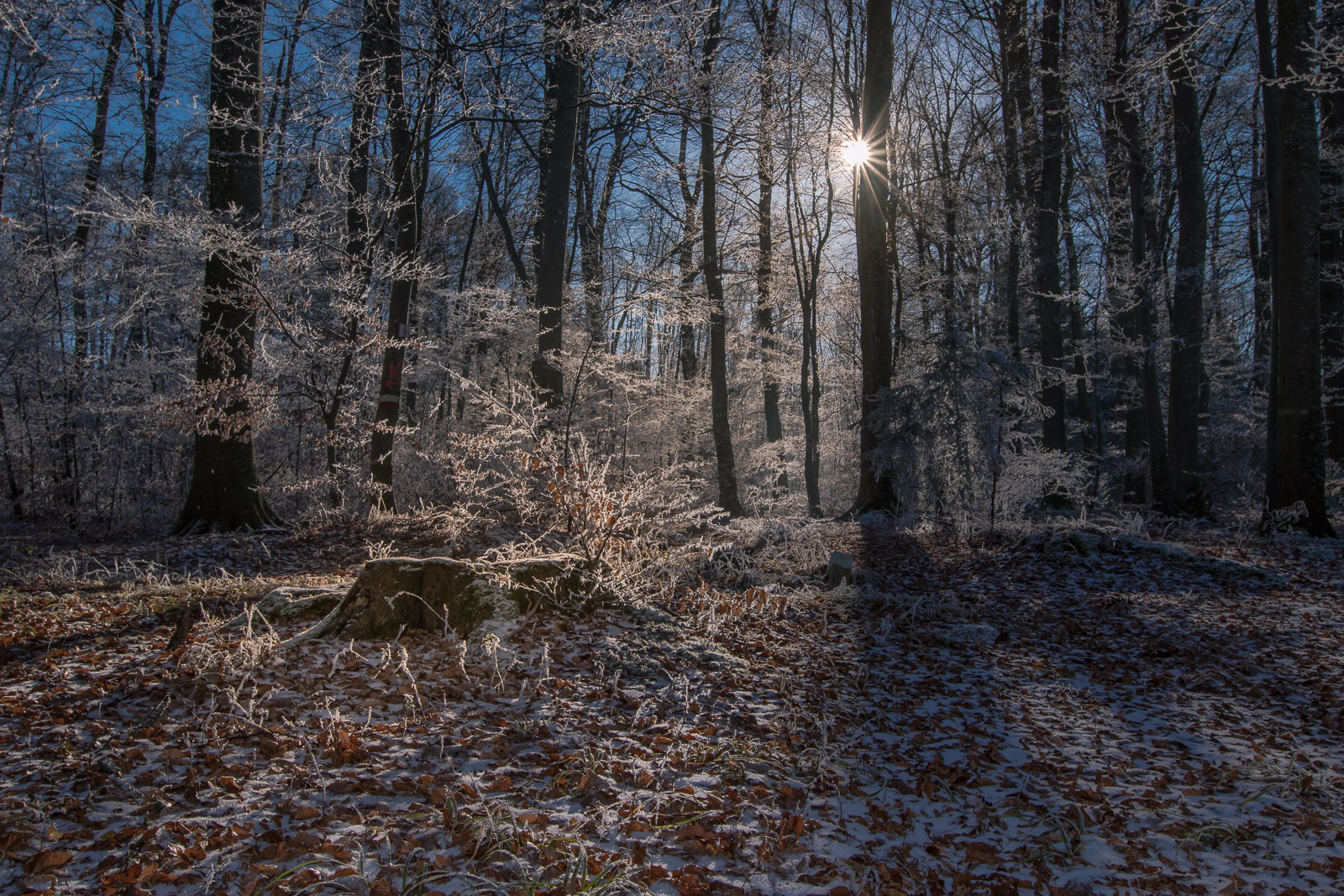 Givre,