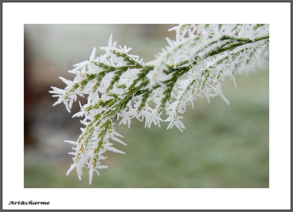 givre en bourgogne