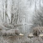 Givre en bourgogne hiver 2008/2009