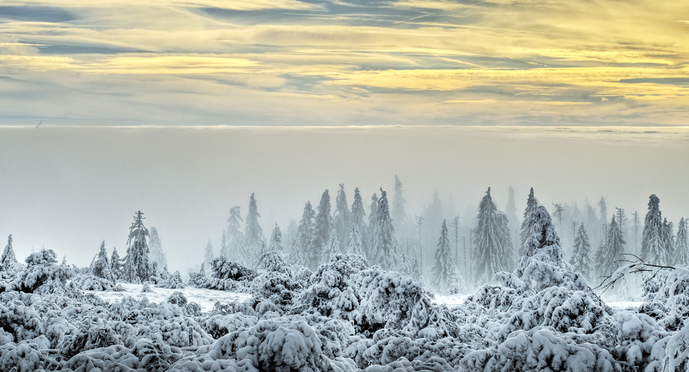 givre et brûme