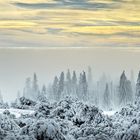 givre et brûme