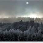 Givre et brouillard