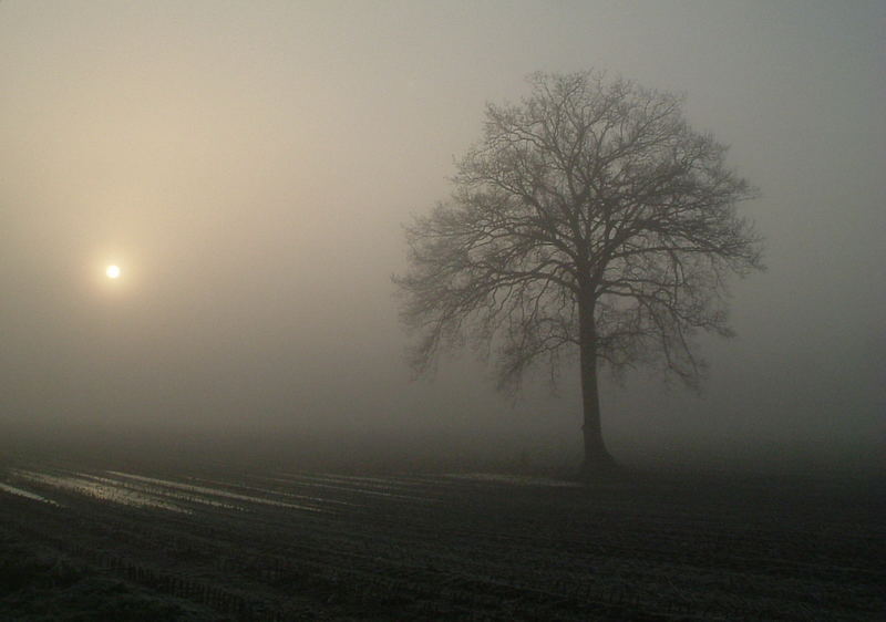 GIVRE ET BROUILLARD