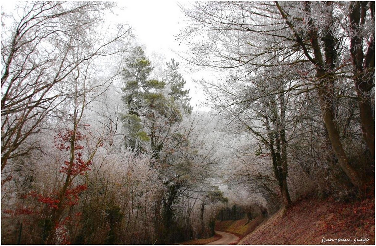 givre et brouillerd