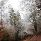 givre et brouillerd