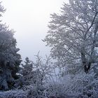 Givre et neige, en face chez moi -- 12/2005 -- Reif und Schnee, meinem Haus gegenüber.