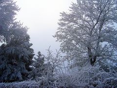 Givre et neige, en face chez moi -- 12/2005 -- Reif und Schnee, meinem Haus gegenüber.