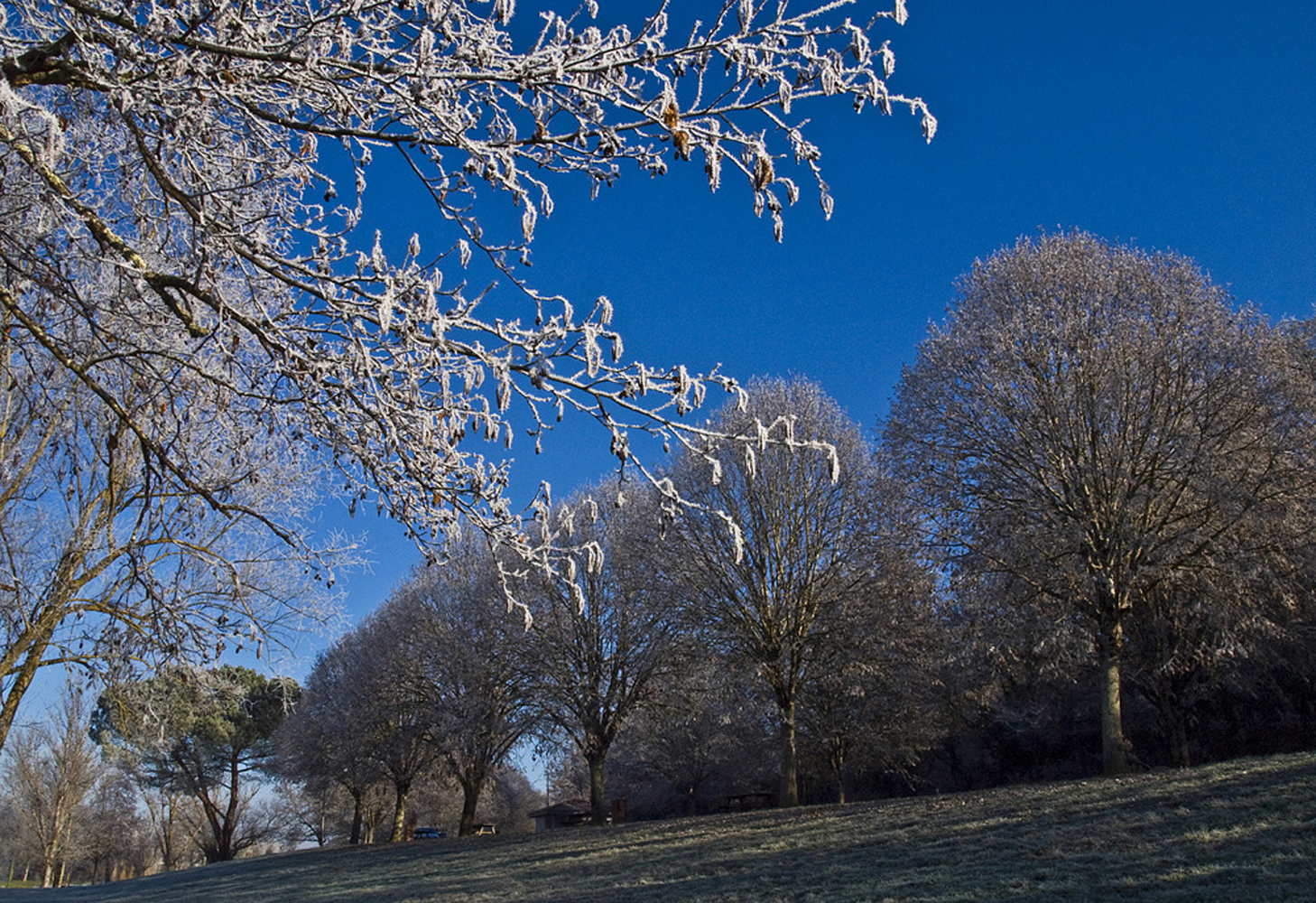 Givre gersois  --  Raureif in dem Gers