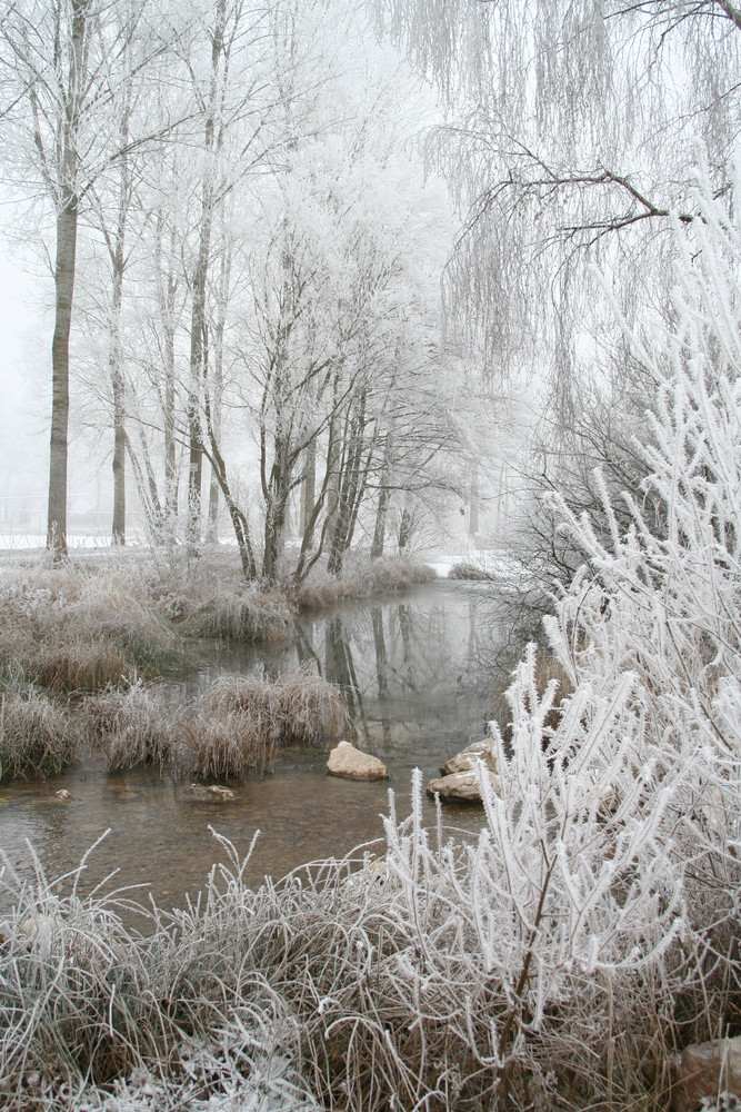 Givre hiver 2008/2009