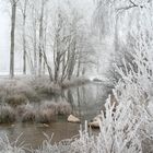 Givre hiver 2008/2009