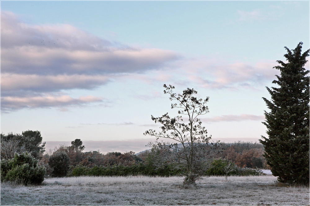 Givre matinal